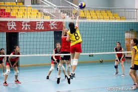 东契奇：让老头飞？范德比尔特：收到！！